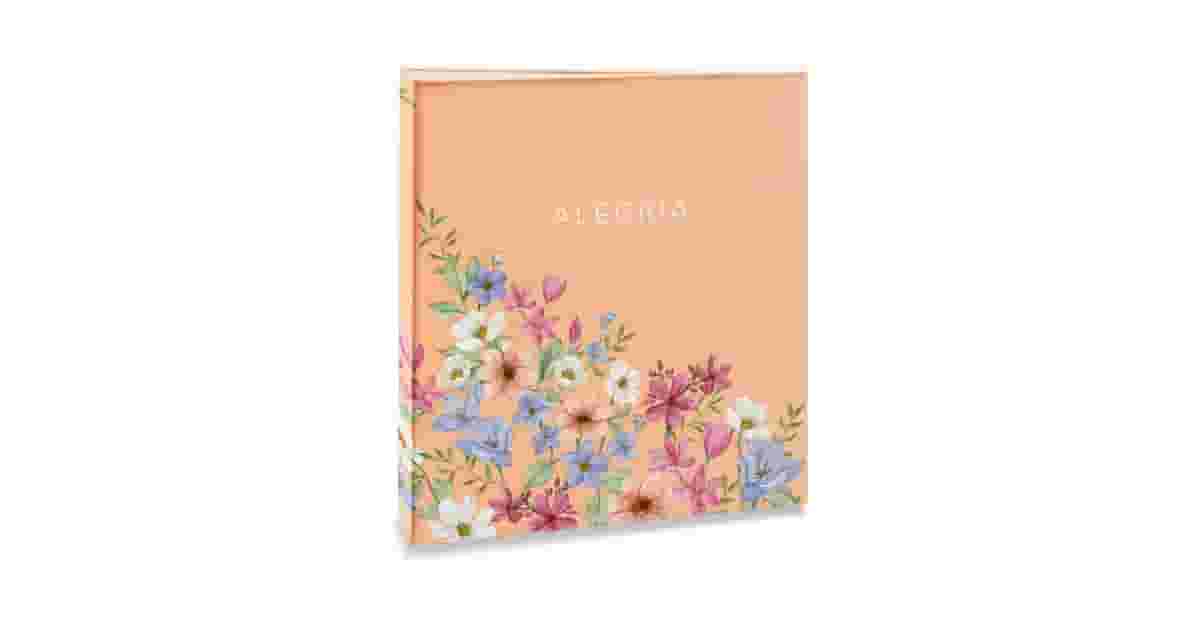 Melhor Álbum de Fotos: 7 Opções para Guardar Suas Memórias