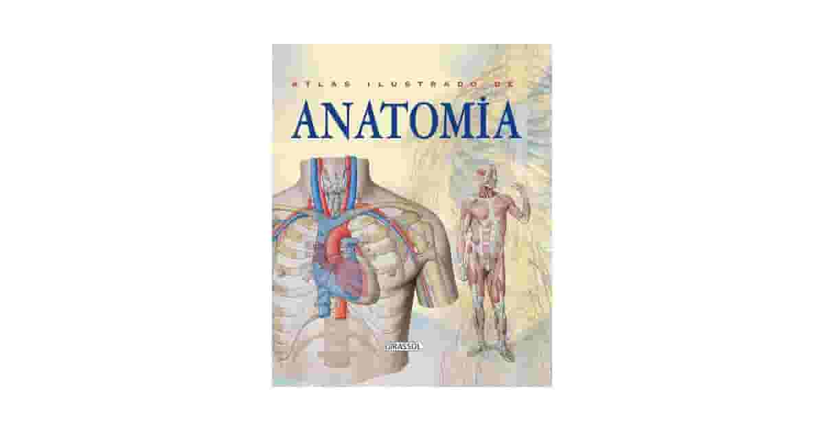 Melhor Atlas de Anatomia 3D: Guia Essencial Para Estudantes