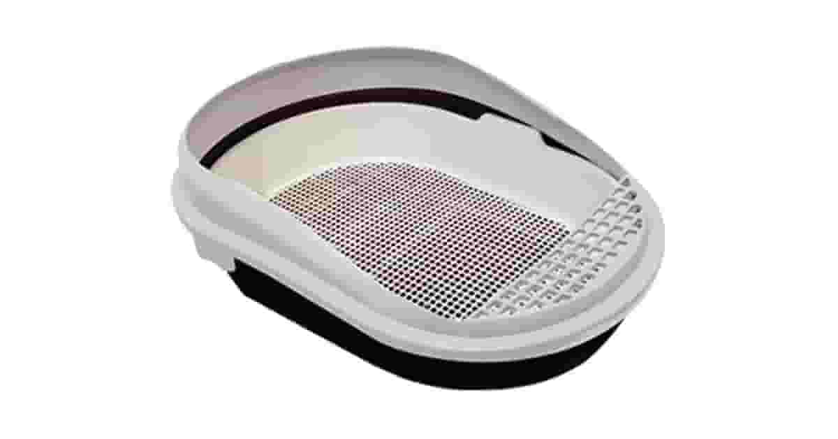 Melhor Banheiro Para Gato: Como Escolher o Ideal?