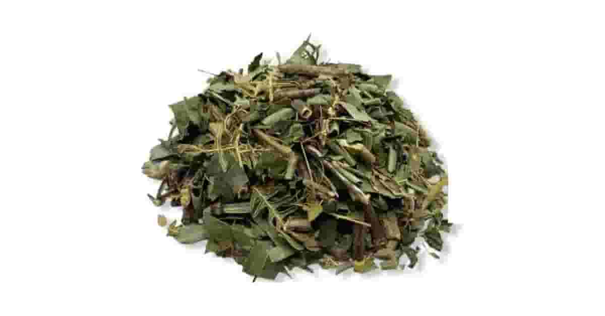 Melhor Banho de Sal Grosso: 7 Ervas Para Sua Limpeza Energética