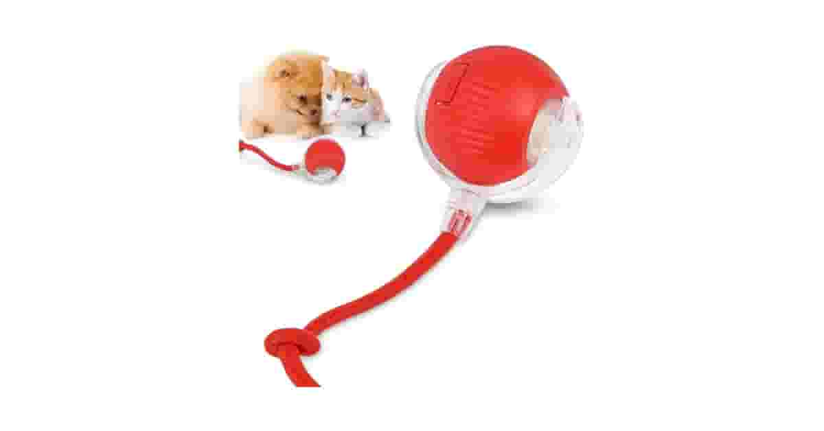 Melhor Brinquedo para Cachorro: Opções Divertidas e Duráveis