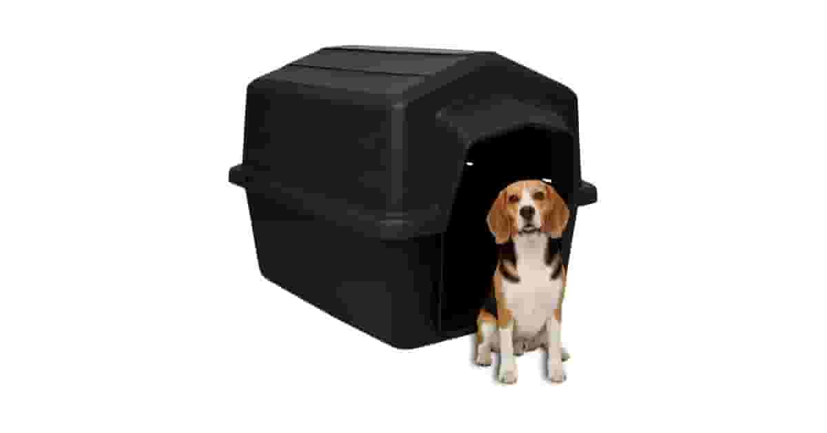 Melhor Casinha para Cachorro: Guia Completo e Durável