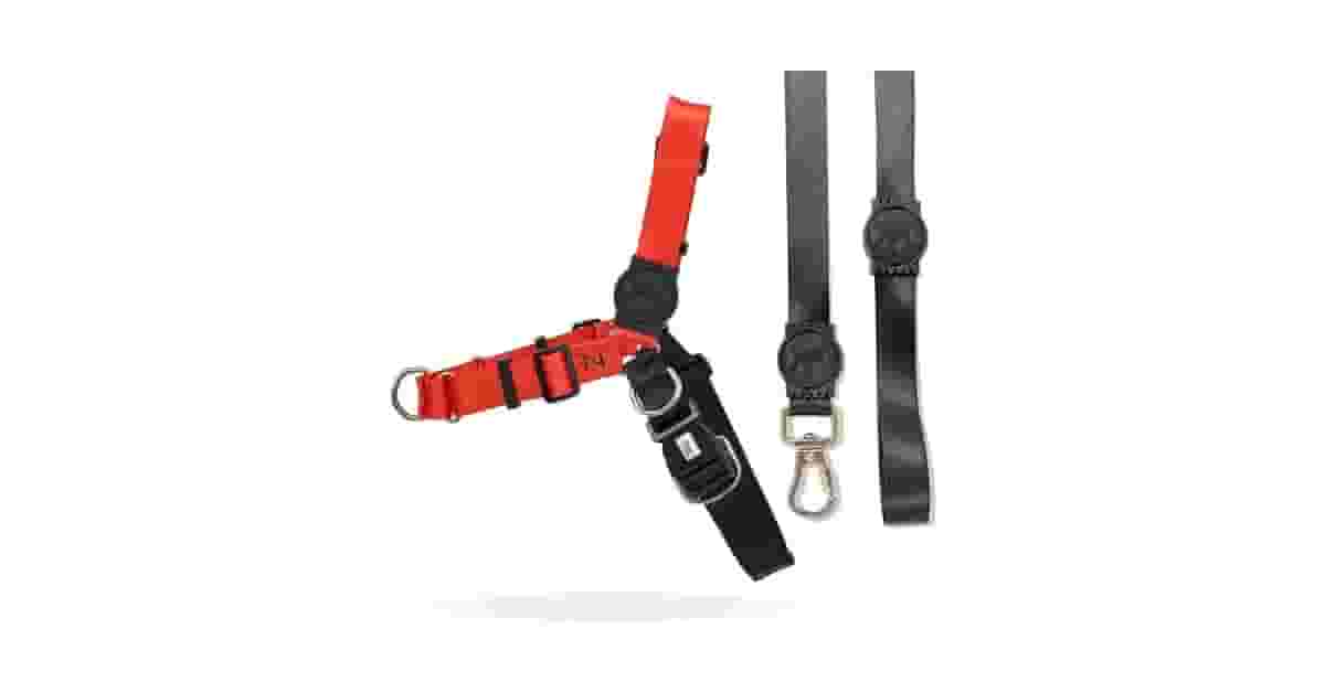 Melhor Coleira Anti Puxão: Qual o Modelo Ideal?