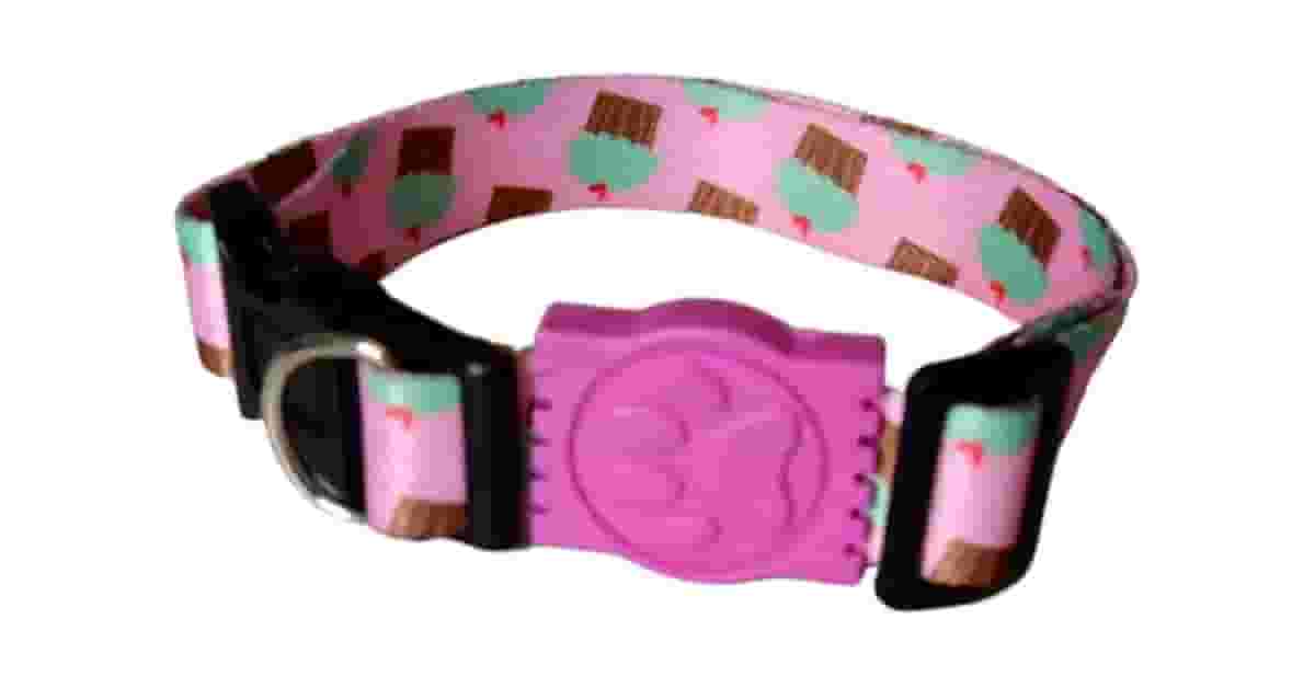 Melhor Coleira Para Cachorro Filhote: Como Escolher?