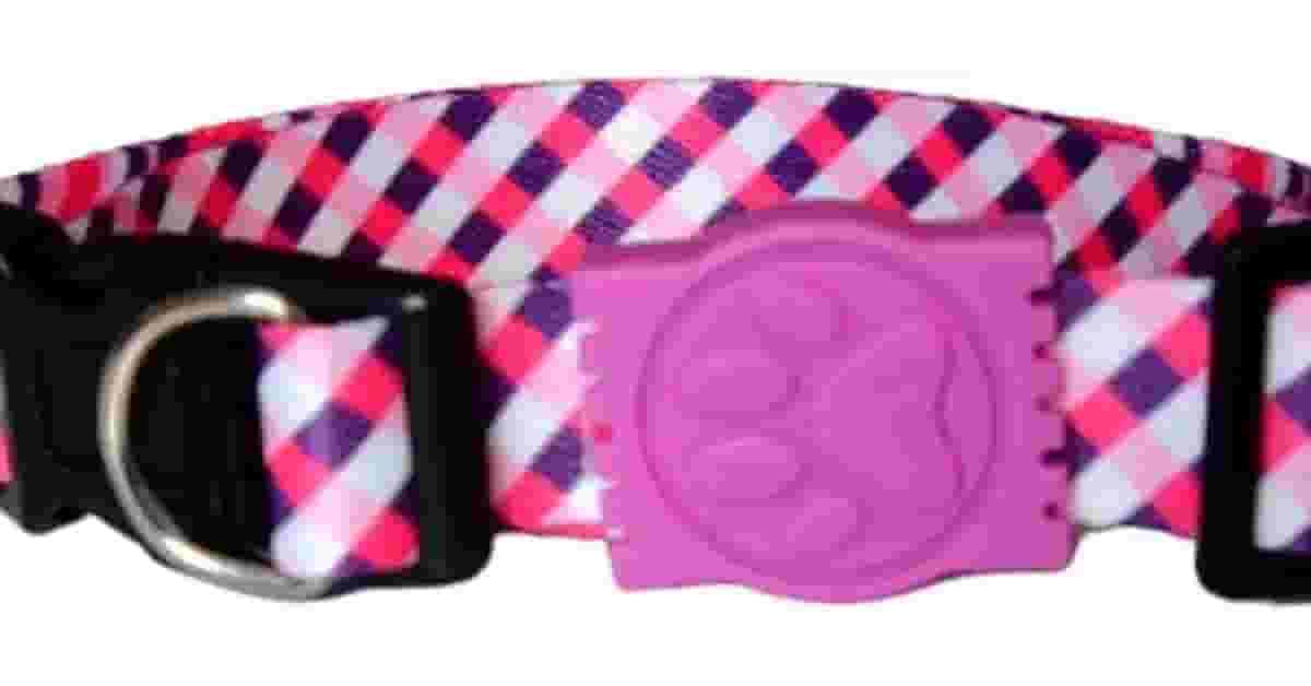 Melhor Coleira Para Cachorro: Peitoral ou Pescoço?