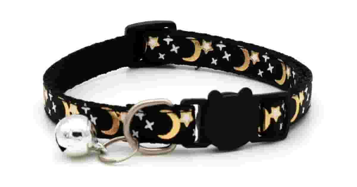 Melhor Coleira Para Gato: Peitoral ou de Pescoço?