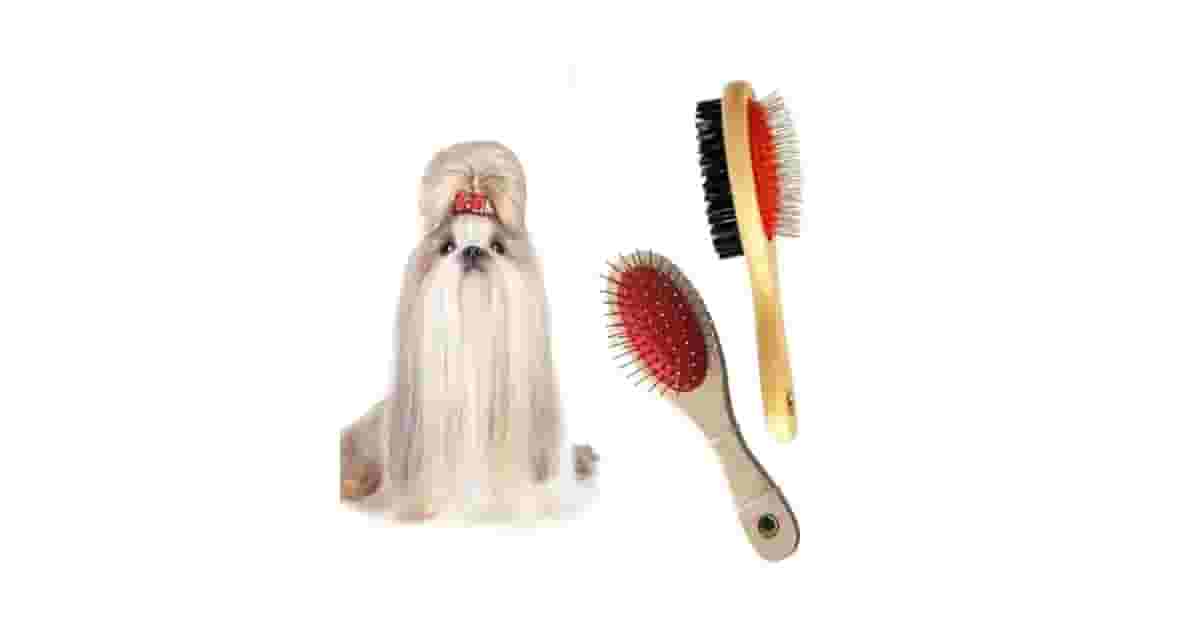 Melhor escova para cachorro pelo longo: Fim dos Nós!