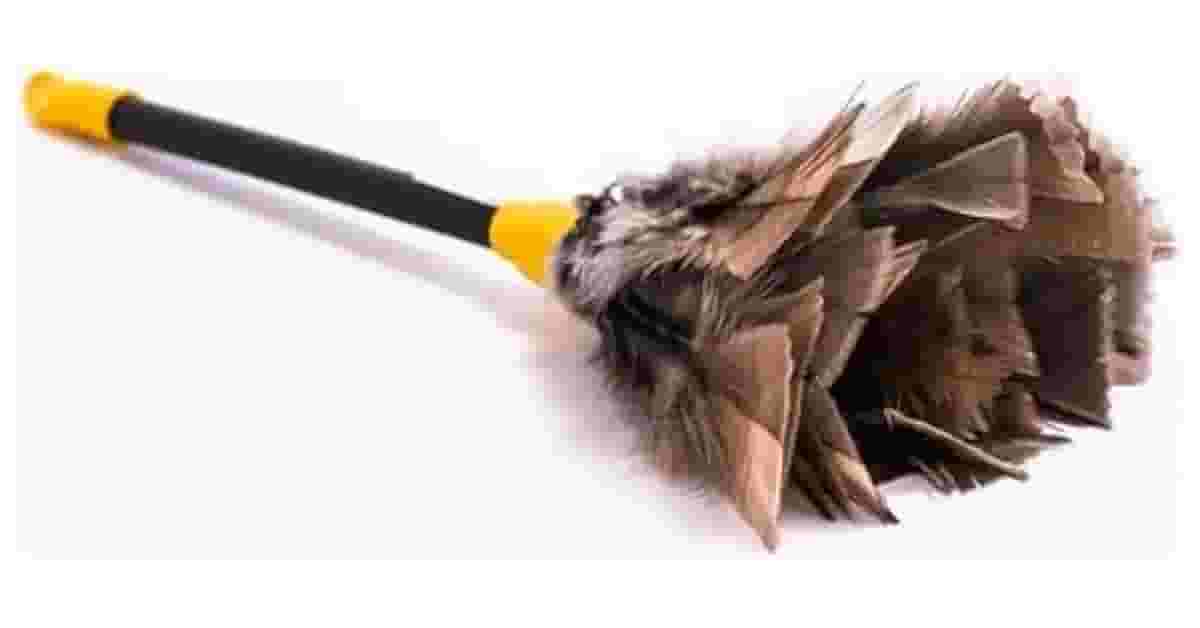 Melhor Espanador para Livros: Guia de Escolha Definitivo