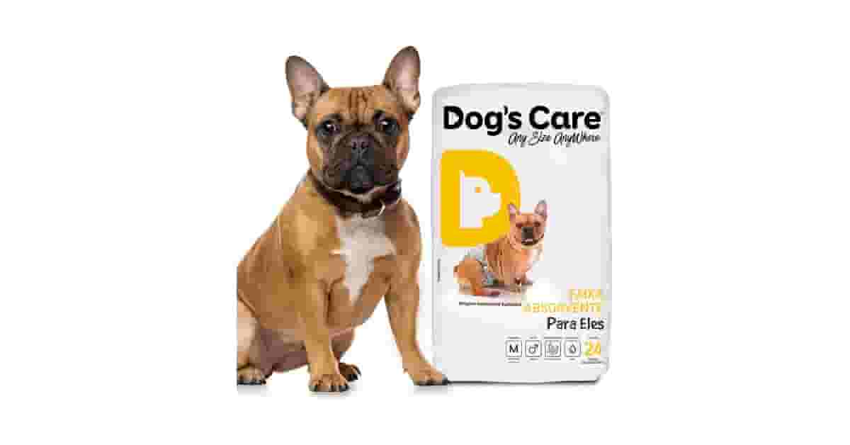 Melhor Fralda Para Cachorro: Guia de Macho e Fêmea
