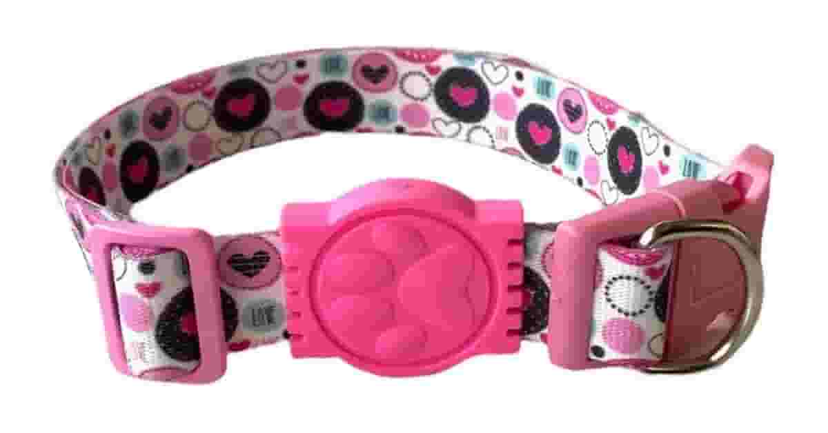 Melhor Marca de Coleira para Cachorro: Guia Essencial