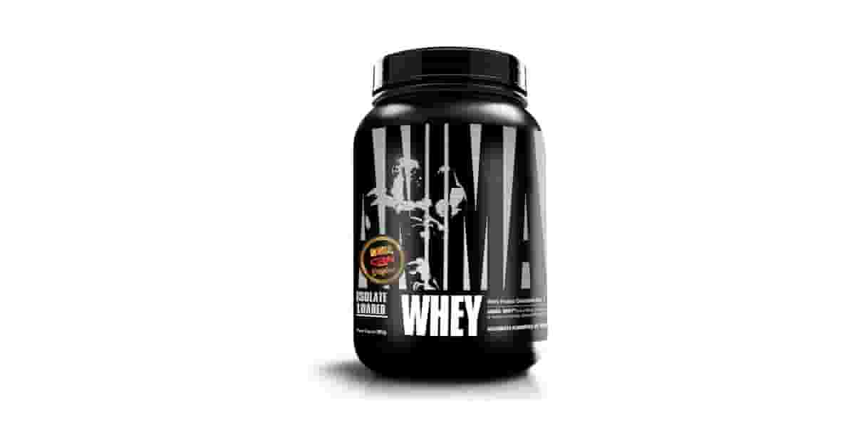 Melhor Proteína Animal: Whey, Beef ou Colágeno?