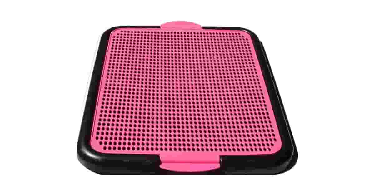 Melhor Sanitario Para Cachorro: Com ou Sem Grama?