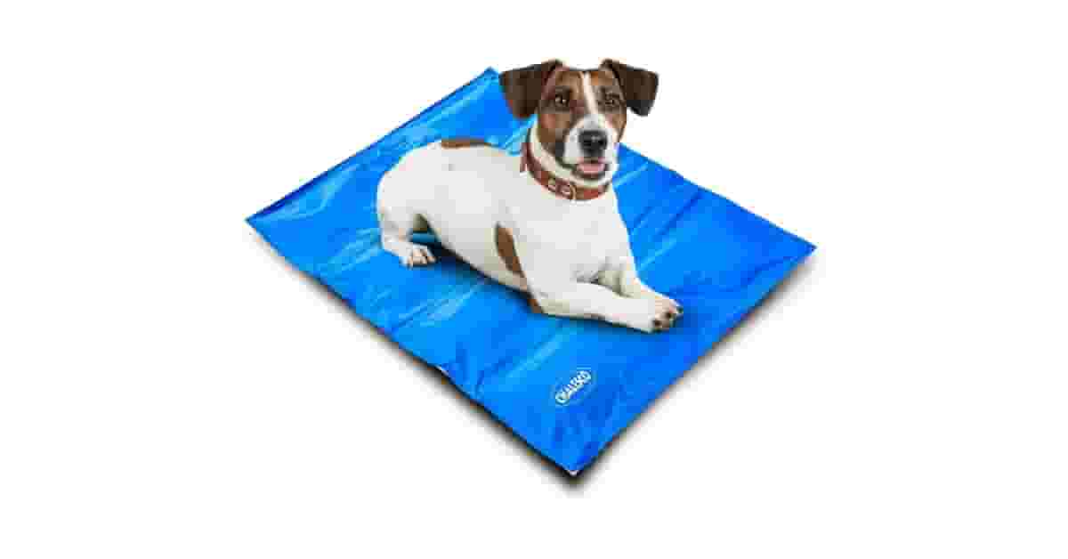 Melhor Tapete Gelado Para Cachorro: Guia de Compra