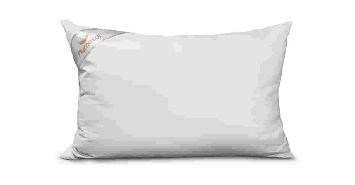 Melhor Travesseiro Pena de Ganso: Penas ou Plumas?