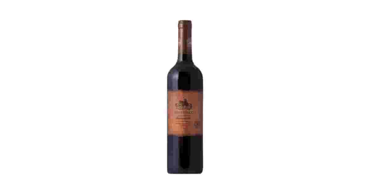 Melhor Vinho Carmenere Chileno: Guia Essencial 2024