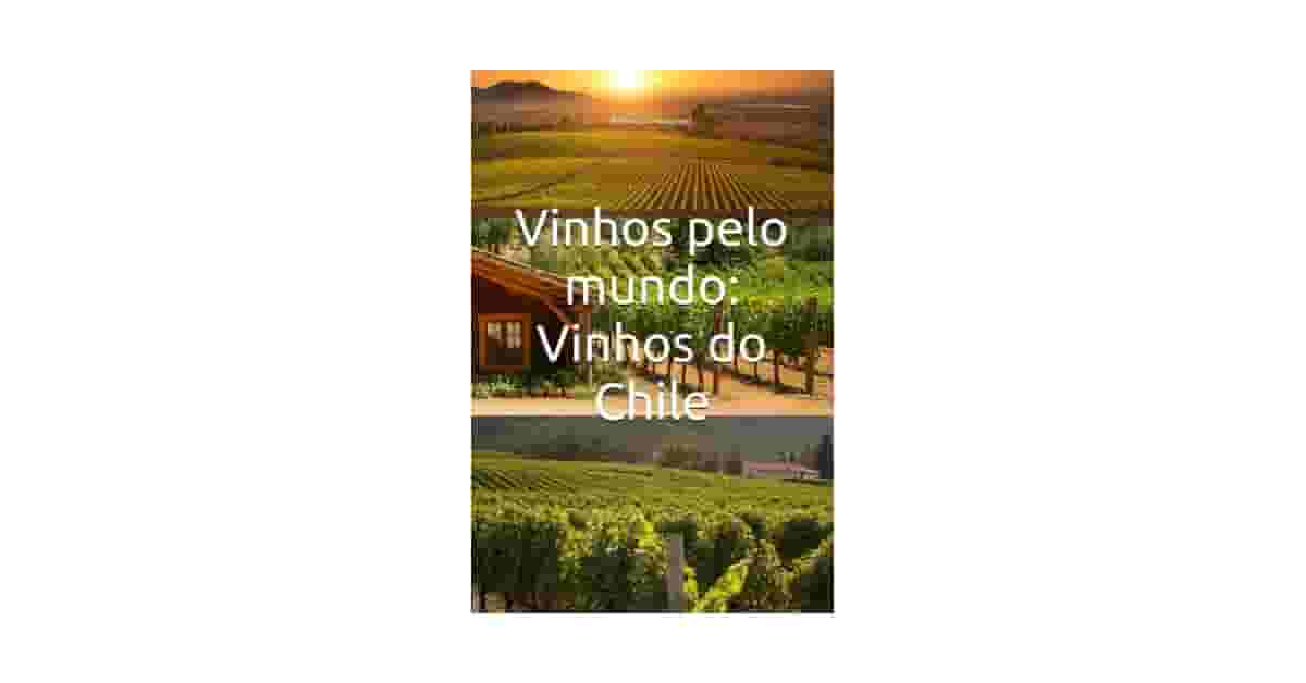 Melhores Vinhos do Mundo: Guia Para Iniciantes