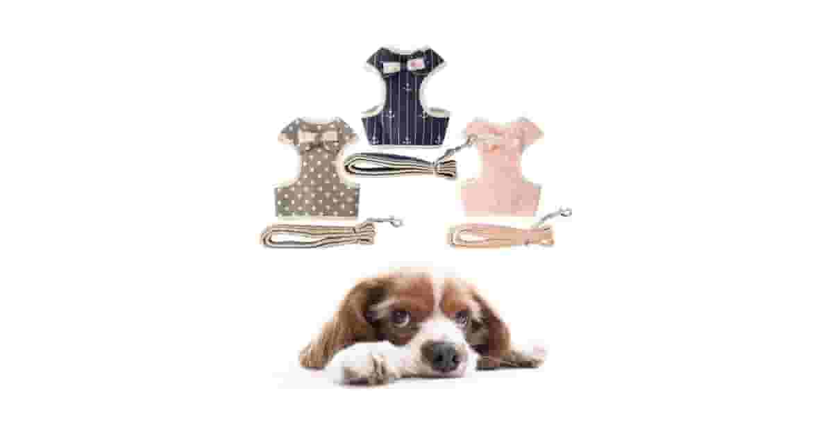 Qual a Melhor Coleira para Shih Tzu? Conforto e Segurança