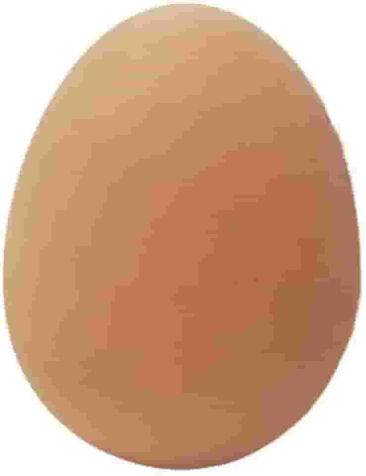 Furacão Pet Ovo Macico De Borracha Para Cães