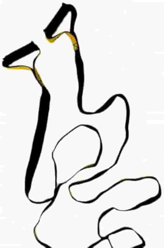 Fita de treinamento Simples TRX, pilates, Yoga, fisioterapia, treino funcional entre outros