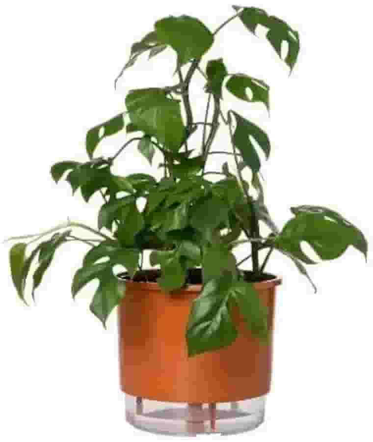 Vaso Autoirrigável Grande N04 21cm x 19cm - Terrazzo Terracota