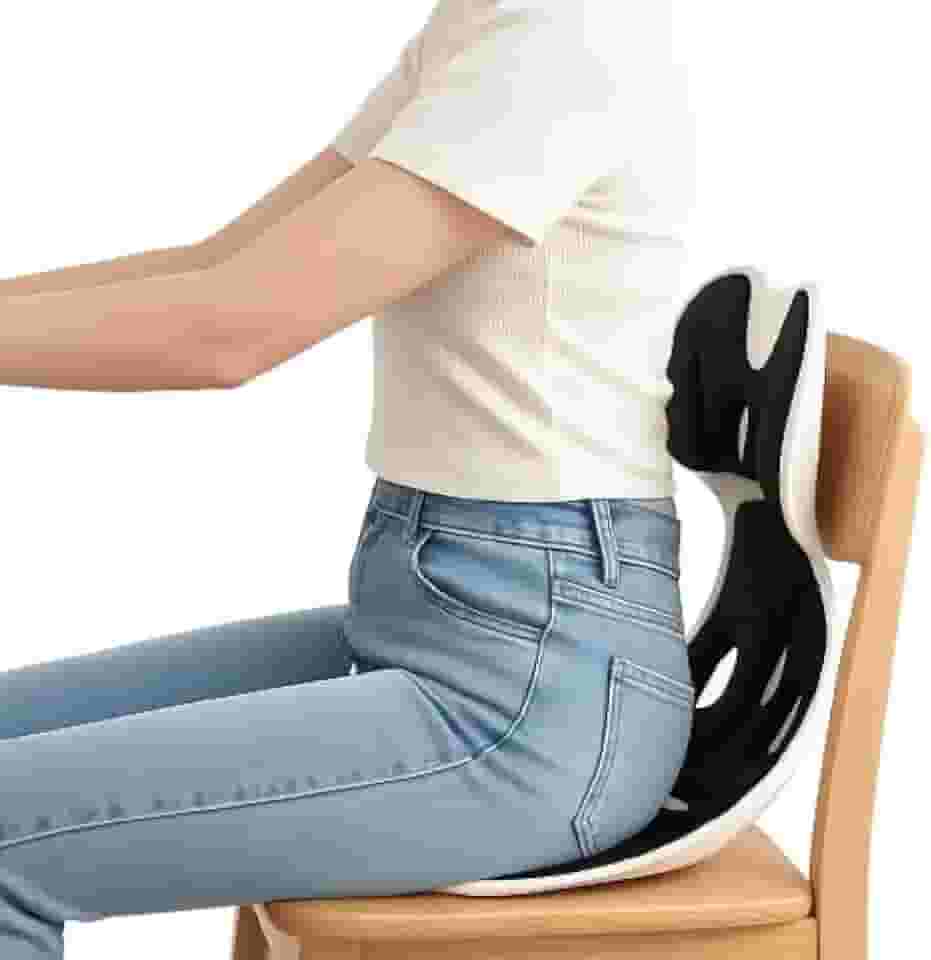 Almofada Ergonômica para Cadeira com Suporte Lombar, Assento Estofado, Cores Sortidas