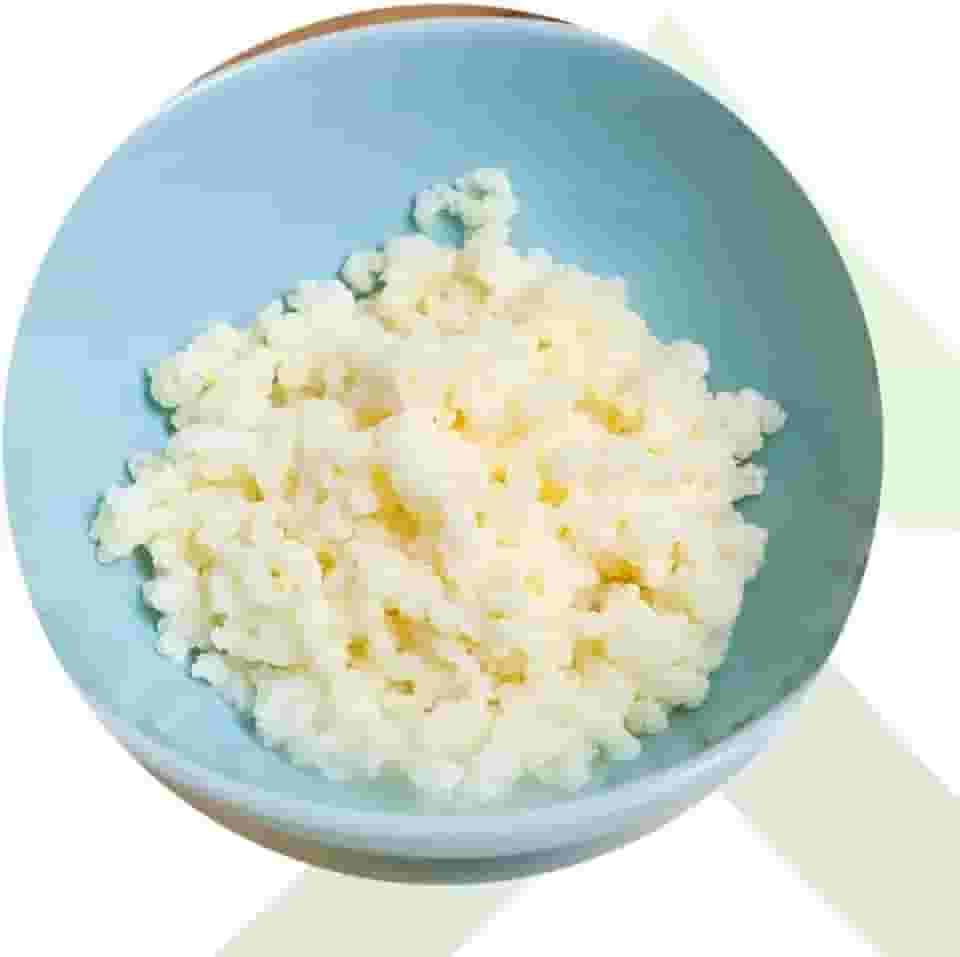 2x Kefir de Leite Bichinho Do Iogurte Mudas De Kefir Em Grãos De Leite Real