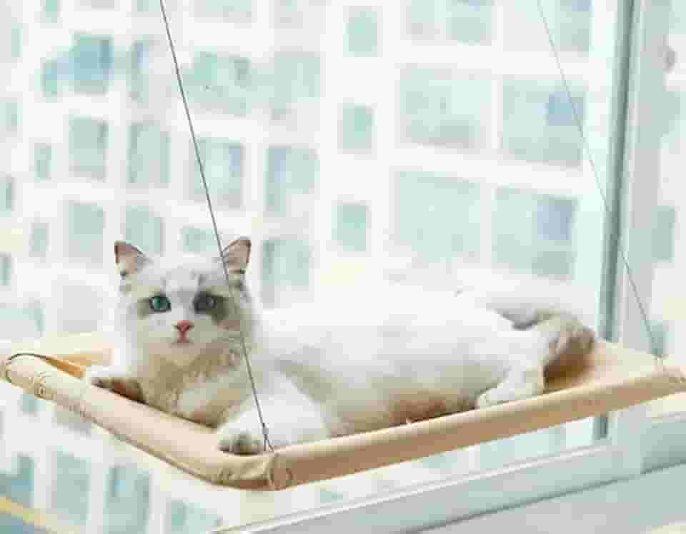 cama suspensa DE JANELA CAMINHA para gatos com ventosas janelas rede sacada pet cat