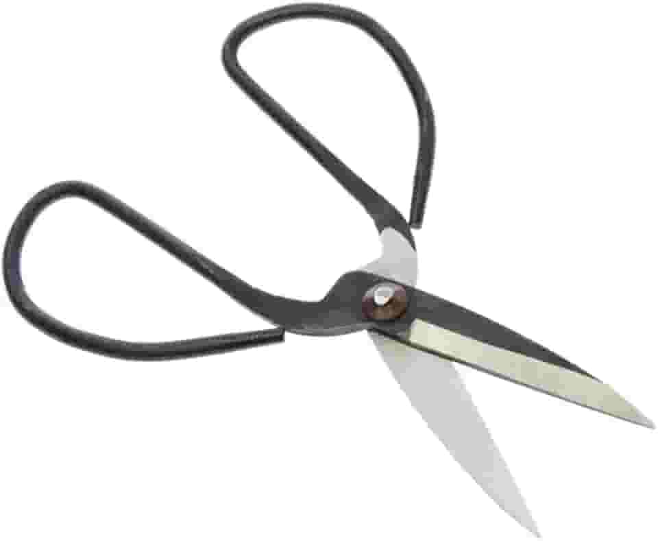 SE Tesoura chinesa famosa de 15 cm - SC613