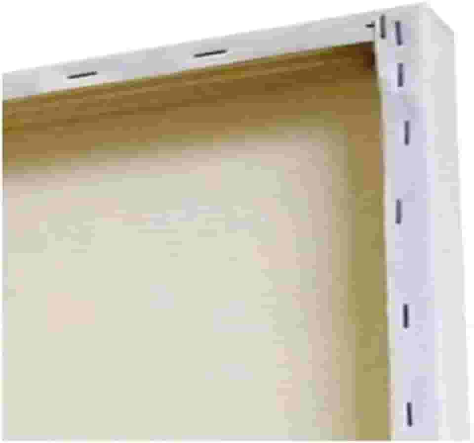 Tela de Pintura 20x20