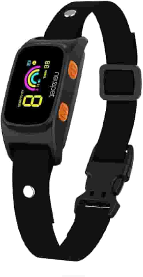 Coleira Impermeável Recarregável para Treinamento de Cães de Pequeno, Médio e Grande Porte