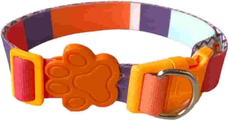 MY PET BRASIL Coleira Para Cachorros M Coleira Ajustável City Passeio E Viagem Confortável E Resistente