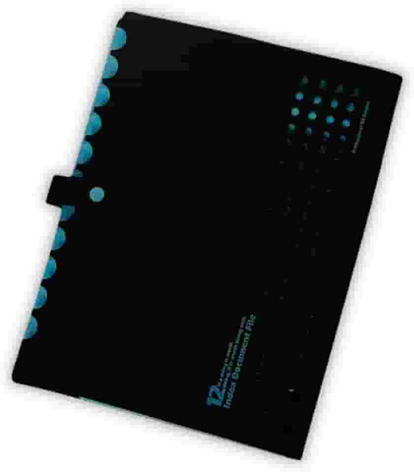 Pasta Sanfonada Catalogo A4 com 5 Divisórias Organizador de Documentos Neon Escritorio Escola Arquivo Papel Sulfite (Azul)