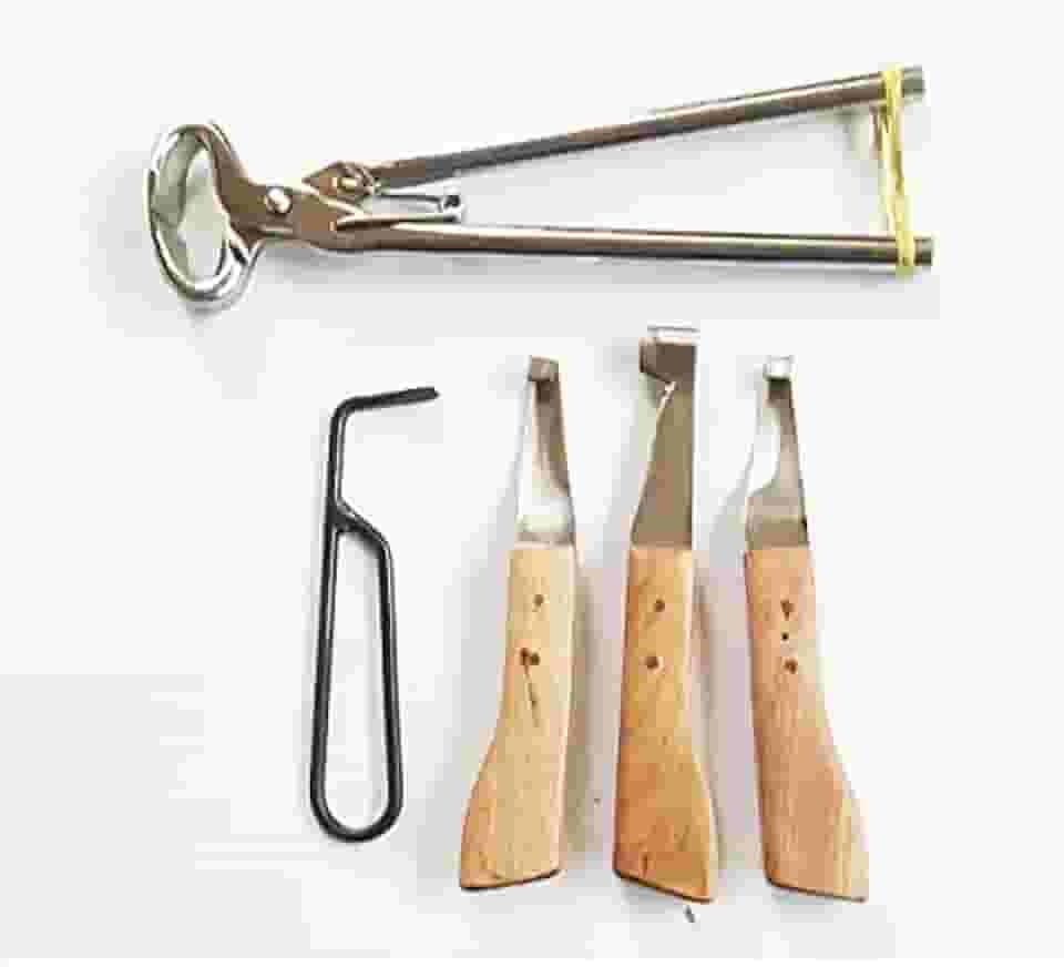 Conjunto Ferrador Casqueamento Cavalo + Torquesa Torques