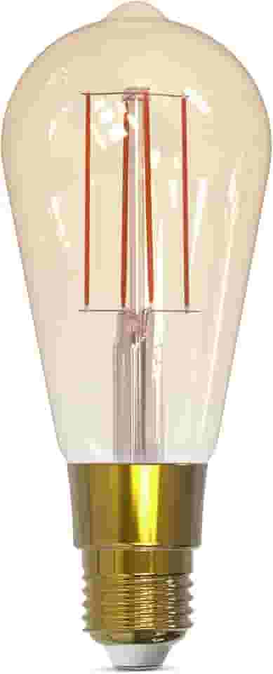 Gaya Lâmpada Filamento ST64 Smart Dimerizável 5W 400 Lúmens IP20 Bivolt