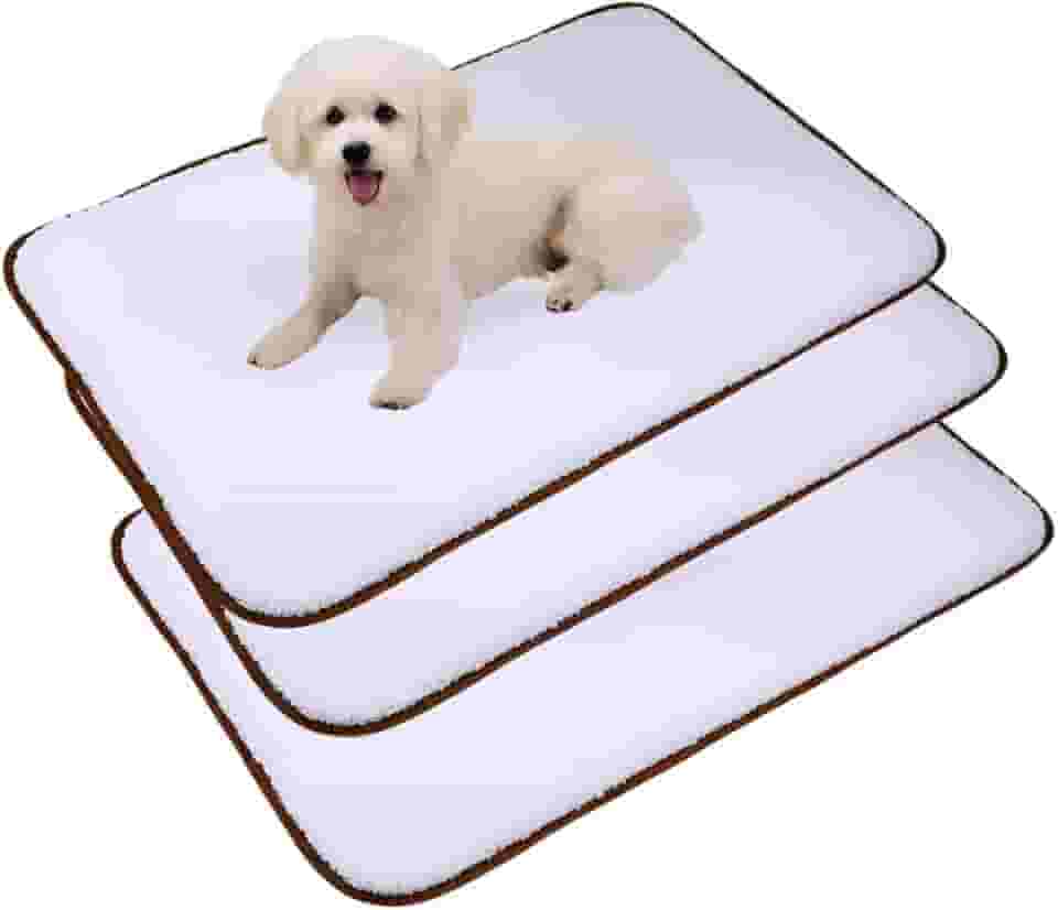 Kit 3 Tapetes Higiênicos para Cães Tam GG - 200 lavagens cada peça 80x60cm Branco