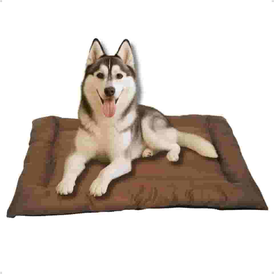 Cama Caminha Colchonete Marrom Grande 100x70cm para Cachorro e Gato de Suede Lavável Almofada Pet Macia Confortável