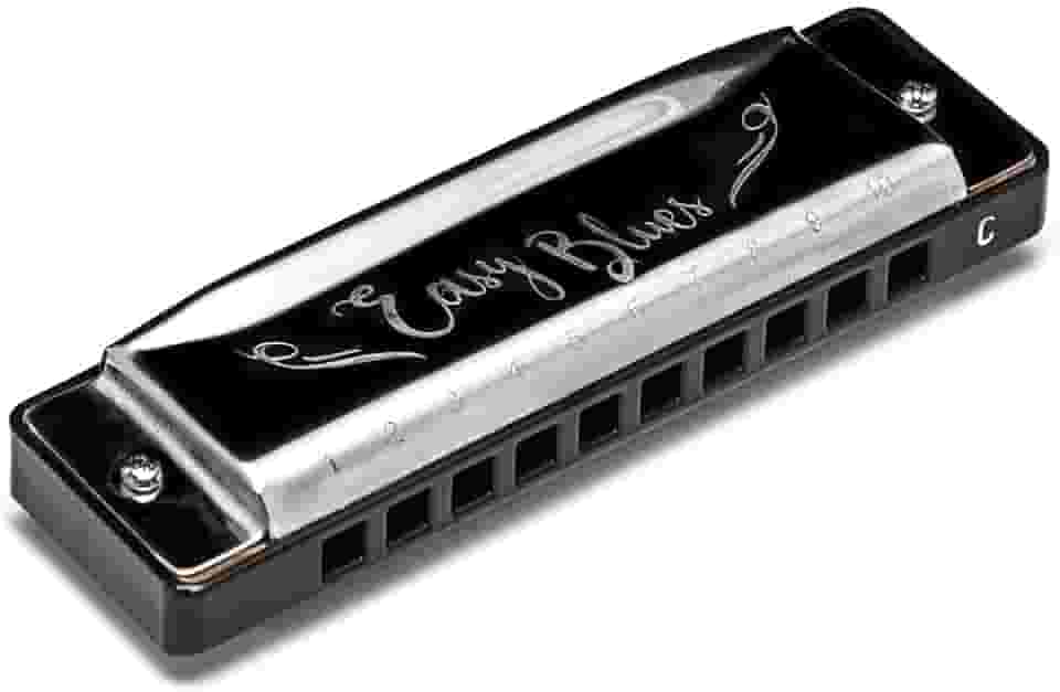 Gaita De Boca Harmonica Hering Easy Blues 4420c Dó Iniciante