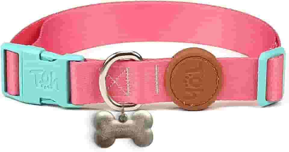 Toh Coleira Avulsa Com Tag Id Fiji Pp