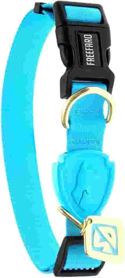 FreeFaro - Coleira Coleira Scooby Sd c/Tag - P | Ajustável, Poliéster Resistente, Fecho Seguro com 4 Pontos, Tecnologia inTransfer para Cores Vivas – Diversos Tamanhos