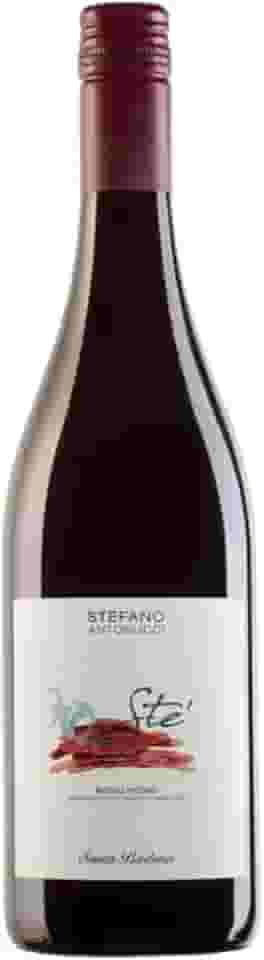 VINHO ITALIANO TTO ROSSO PICENO STE ANTONNUCCI 2023 375ML