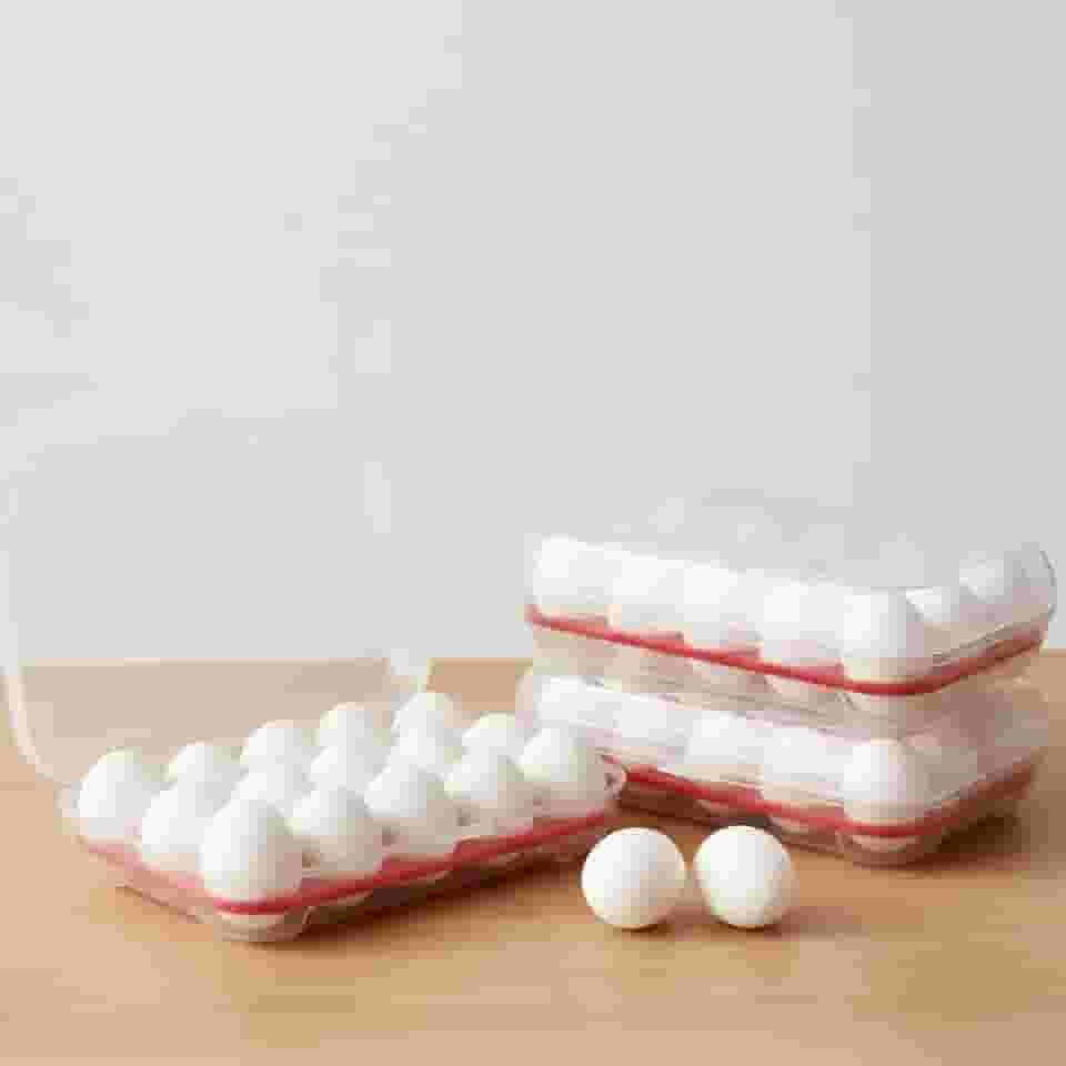 Porta Ovos Transparente Para 15 Unidades Resistente Com Tampa Abre e Fecha Empilhável