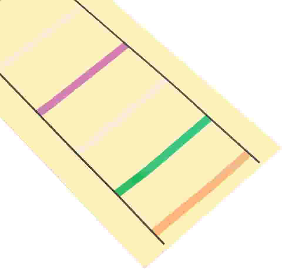 Adesivo de Posição de Violoncelo para Iniciantes - Simplifique o Processo de Aprendizado - Adequado para Diferentes Casacogramas (3/4)