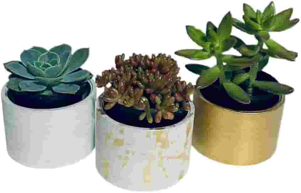Kit com 3 Vasos Decorativos em Cimento para Suculentas e Plantas Pequenas – 7cm de Diâmetro (Cinza e dourado)
