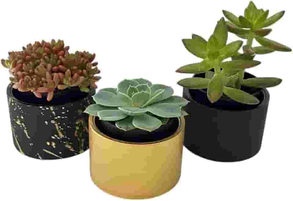Kit com 3 Vasos Decorativos em Cimento para Suculentas e Plantas Pequenas – 7cm de Diâmetro (Preto e dourado)