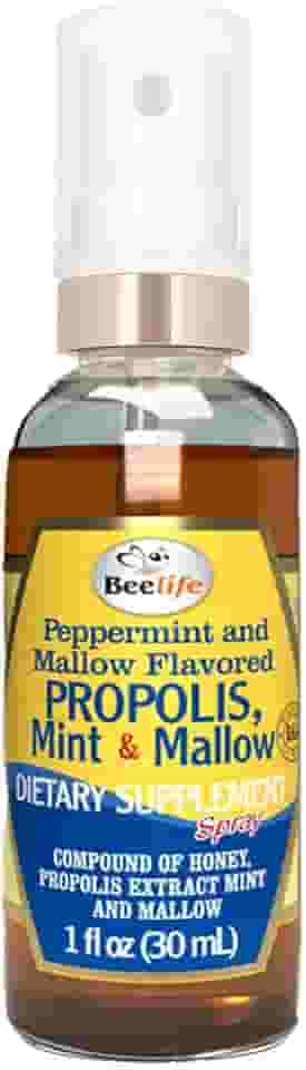 APISVIDA Spray Própolis Verde com Menta e Malva | 30mL | Spray Oral Prático com Extrato Natural de Própolis, Sabor Refrescante