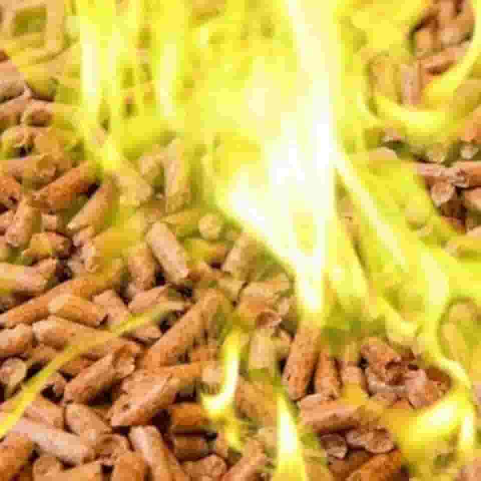 Pellet Lareira Para Fogueira Forno De Pizzaria 10KG