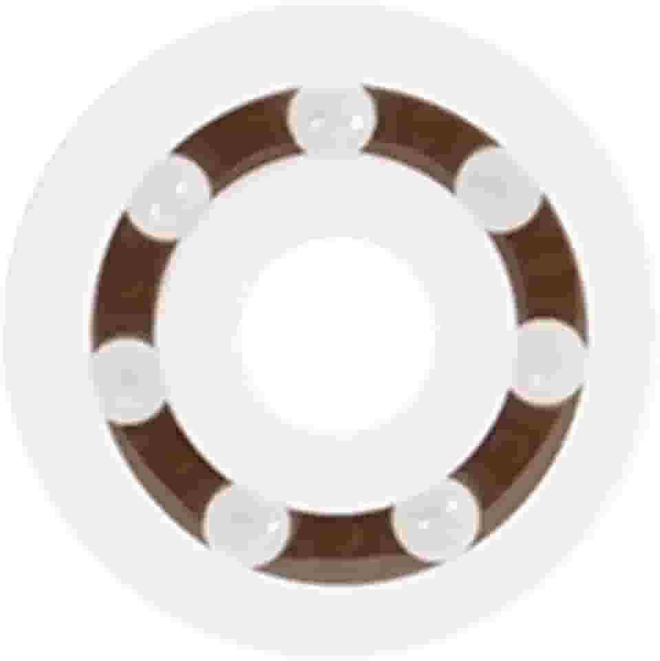 Rolamentos de Carretilha de Pesca, Rolamentos de Esferas, Modificação, Rolamentos de Cerâmica para Iniciantes