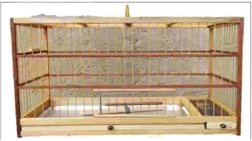 Gaiola quadrada em Madeira e Fibra para Aves: Coleira, Bigodinho, Pintassilgo, Papa-capim, Caboclinho, Canário e outras