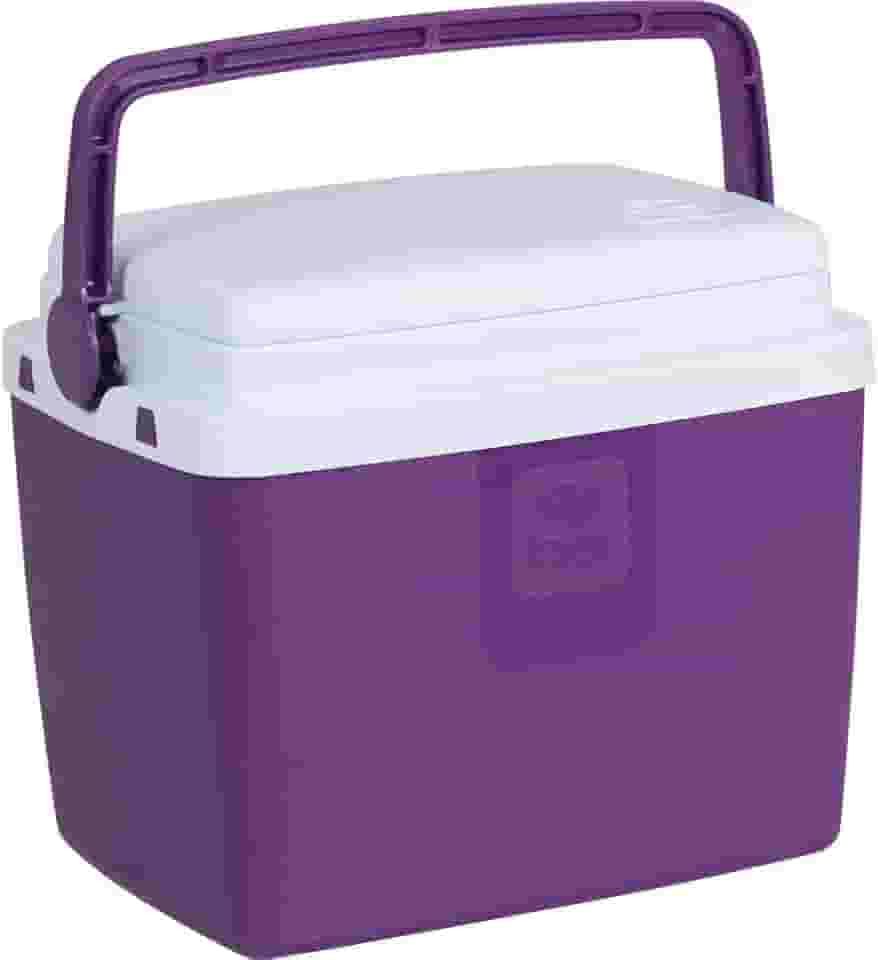 CAIXA TERMICA 6L BEL - ACAI