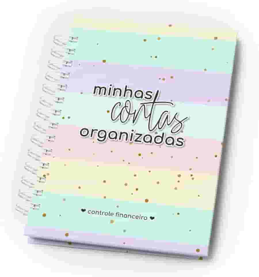 Planejador Financeiro - Minhas Contas Organizadas Capa Dura Pastel